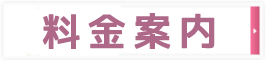 料金システム